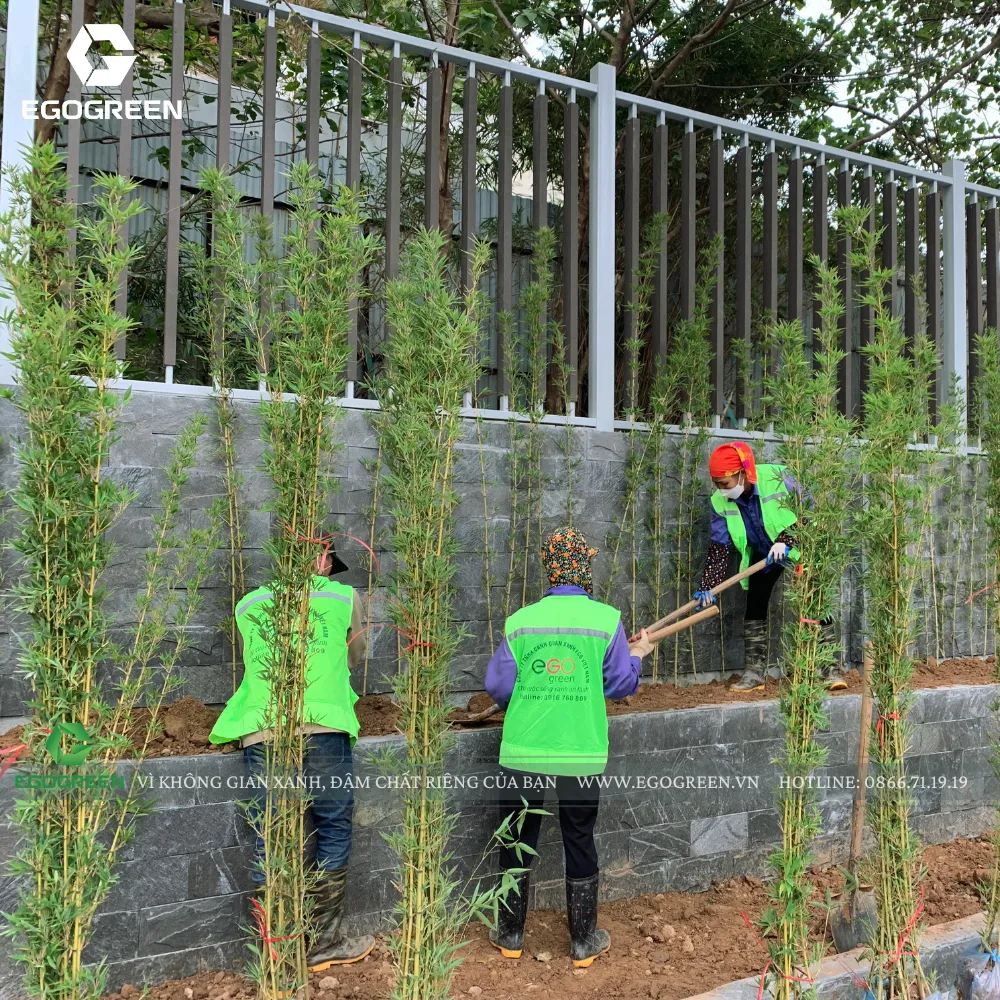 Nếu đặt lịch cải tạo sân sớm trước tết, chi phí sẽ tối ưu hơn.